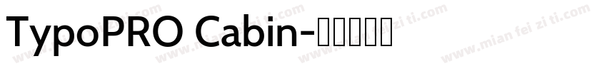 TypoPRO Cabin字体转换